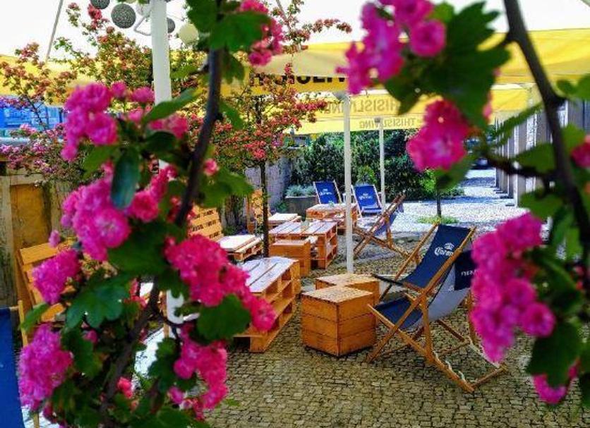 Patio Zdjęcie