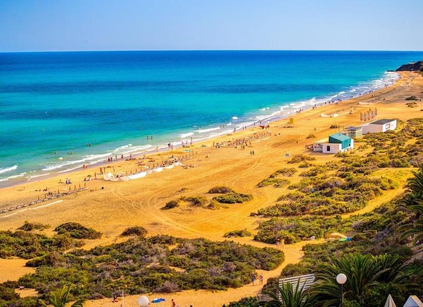 Plaża Zdjęcie