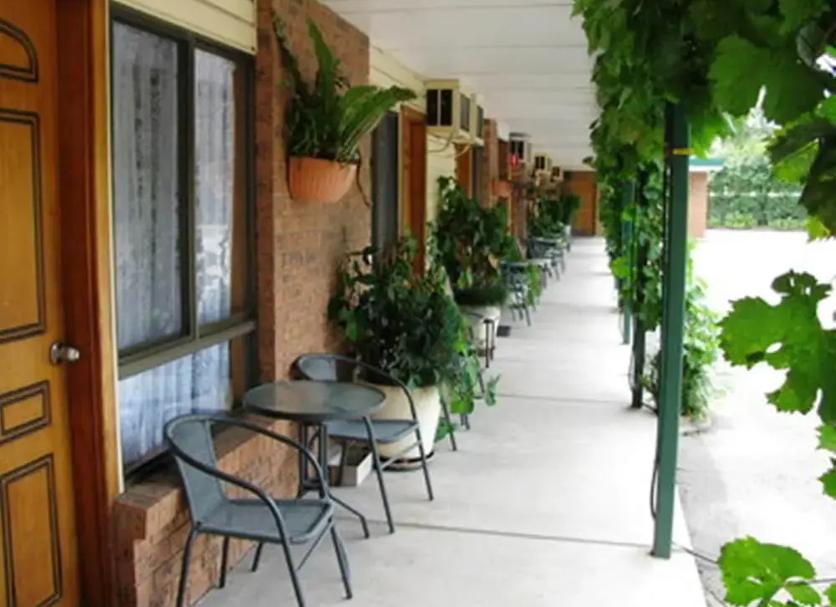 Patio Zdjęcie