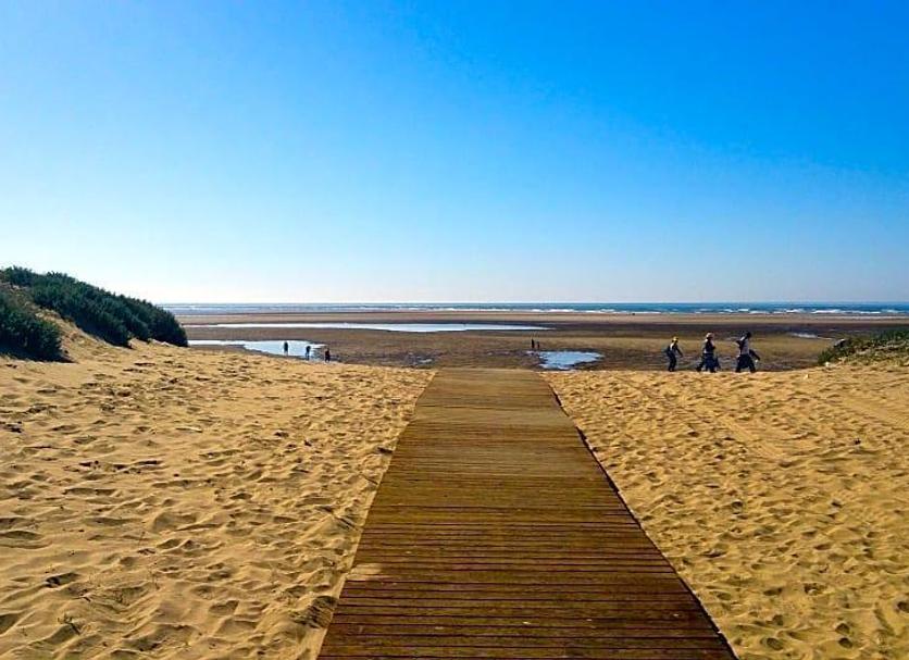 Plaża Zdjęcie
