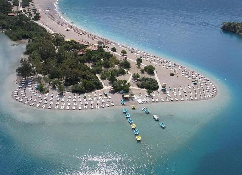 Plaża Zdjęcie