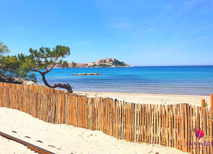 Plaża Zdjęcie