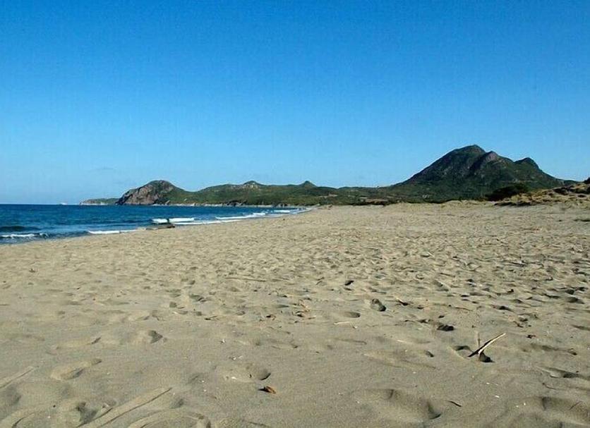 Plaża Zdjęcie
