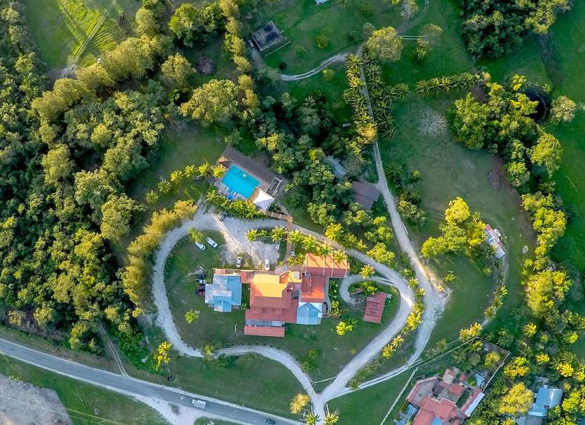 inna Zdjęcie