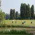 Pole golfowe