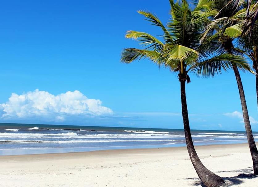 Plaża Zdjęcie