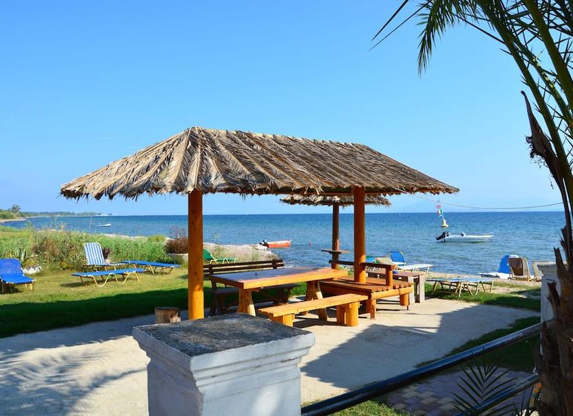 Patio Zdjęcie