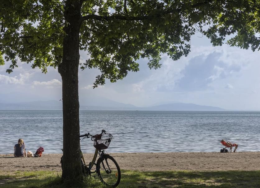 Plaża Zdjęcie
