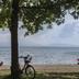 Plaża