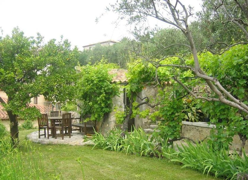 Patio Zdjęcie