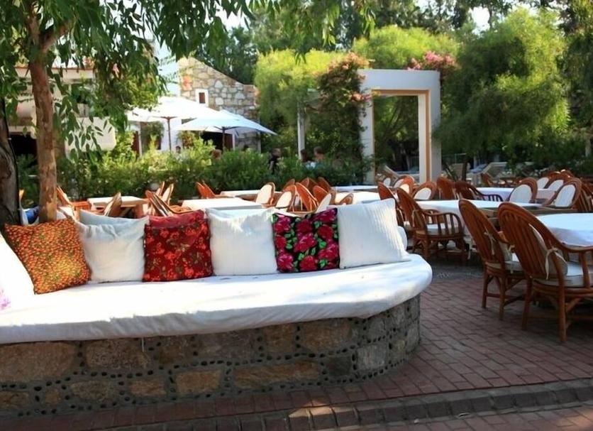 Patio Zdjęcie