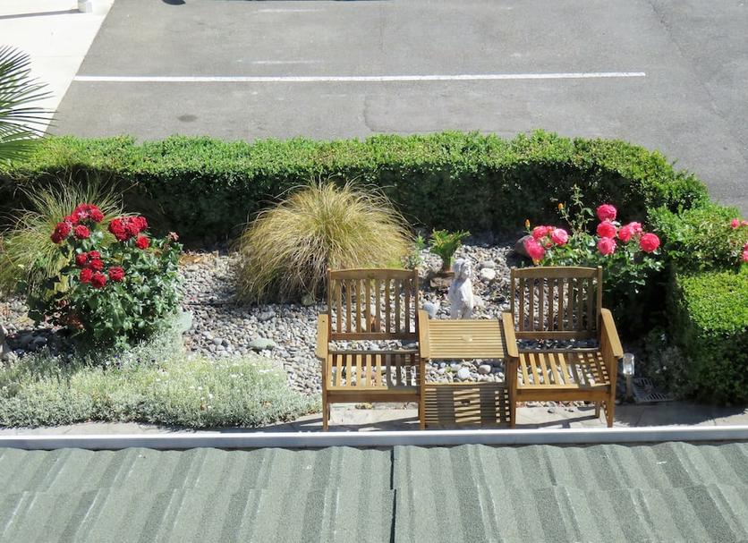 Patio Zdjęcie