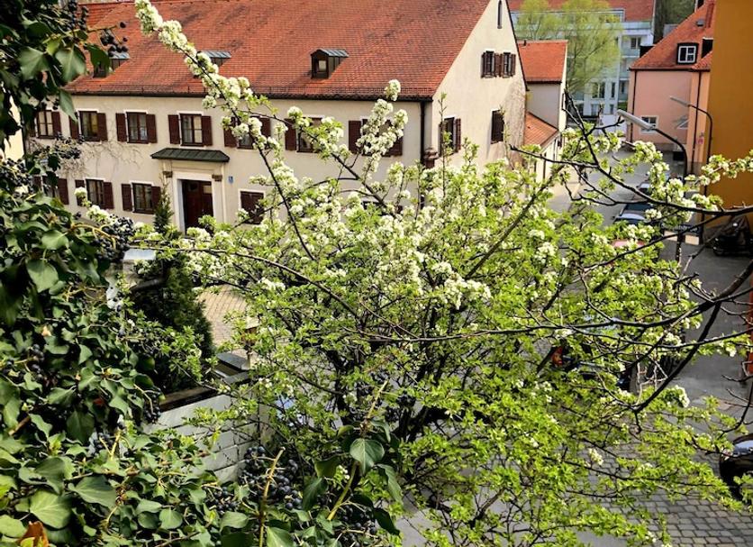 Widok na zewnątrz Zdjęcie