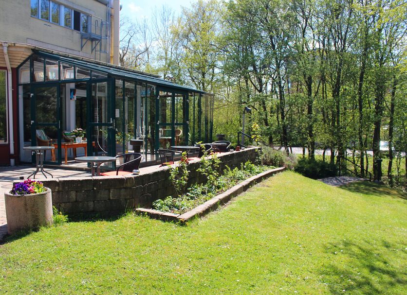 Patio Zdjęcie