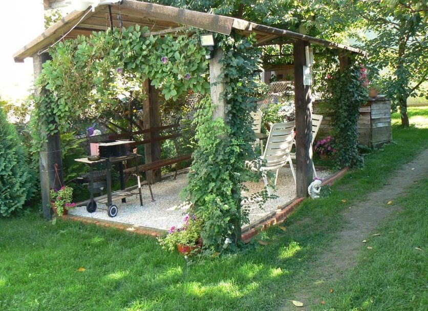 Patio Zdjęcie