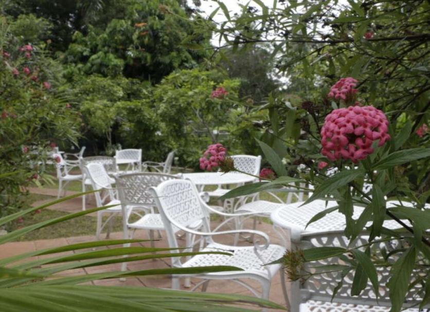 Patio Zdjęcie