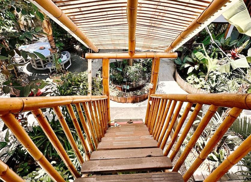 Patio Zdjęcie