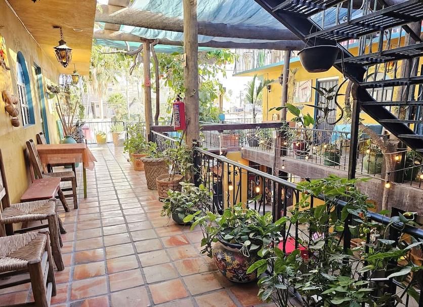 Patio Zdjęcie