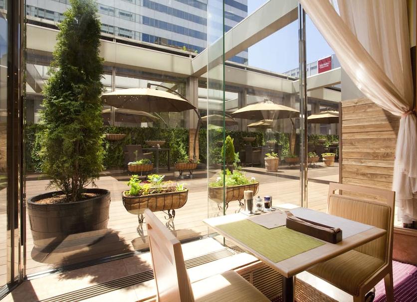 Patio Zdjęcie