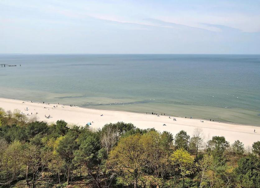 Plaża Zdjęcie