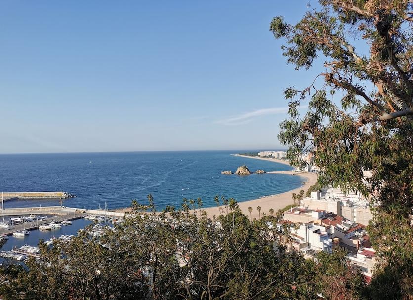 Plaża Zdjęcie