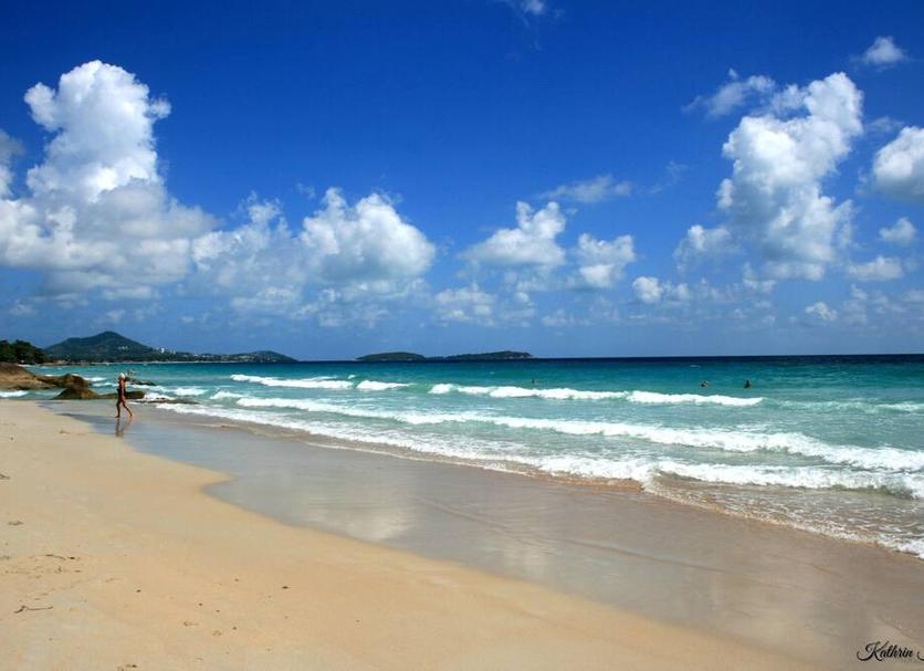 Plaża Zdjęcie