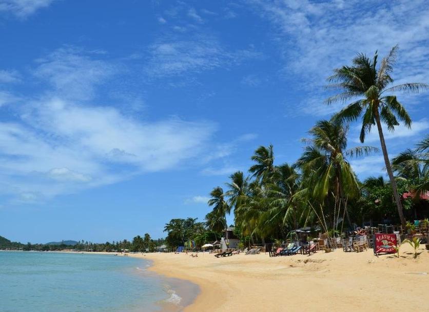 Plaża Zdjęcie