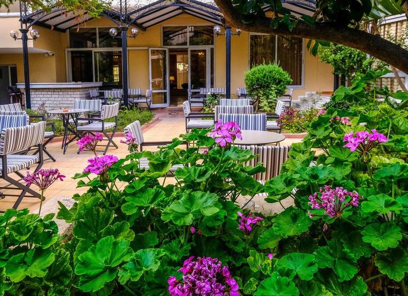Patio Zdjęcie