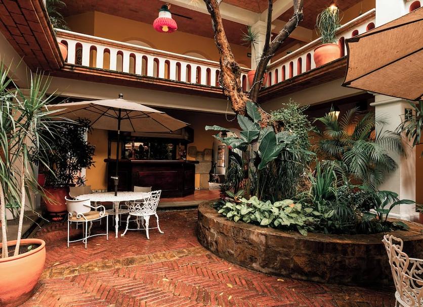 Patio Zdjęcie