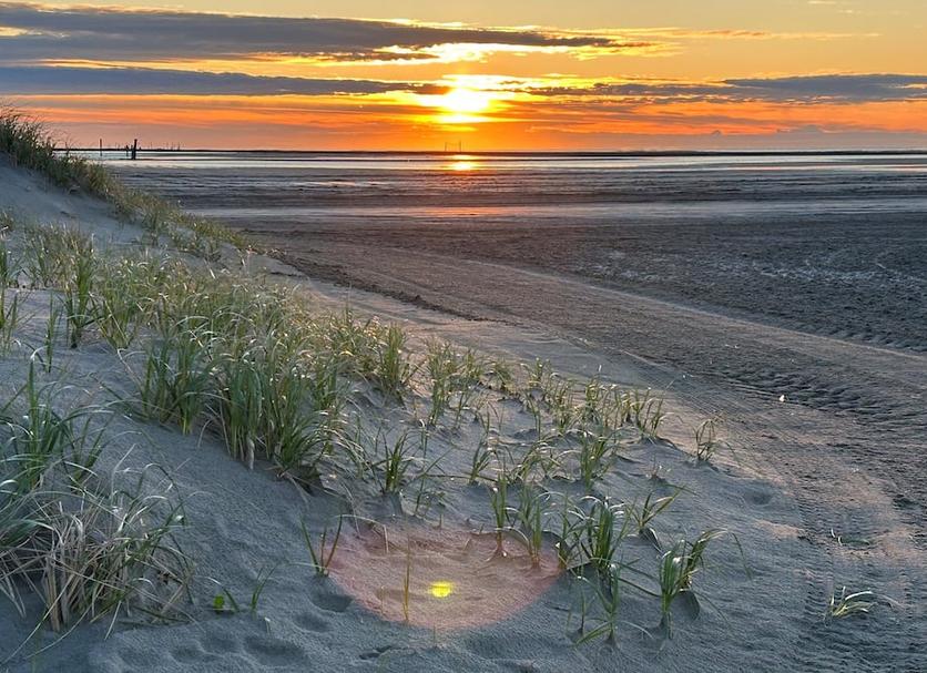 Plaża Zdjęcie