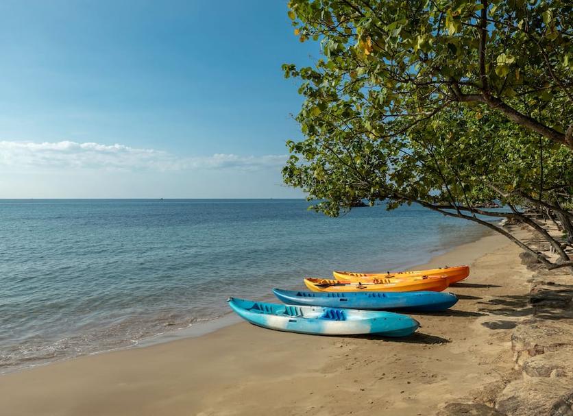 Plaża Zdjęcie