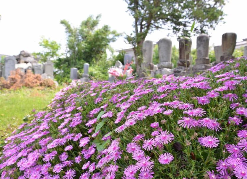 Widok na zewnątrz Zdjęcie