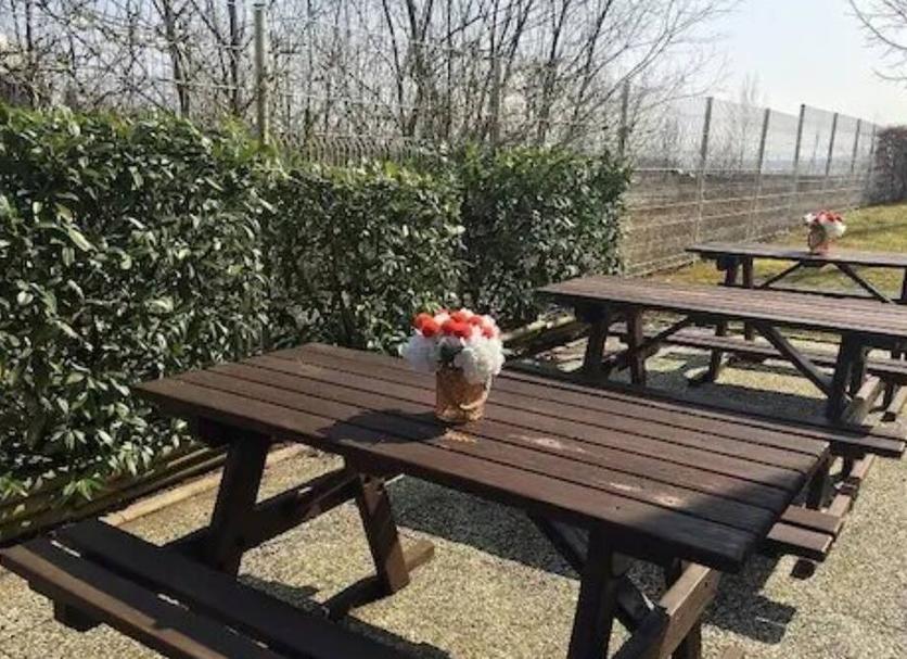 Patio Zdjęcie