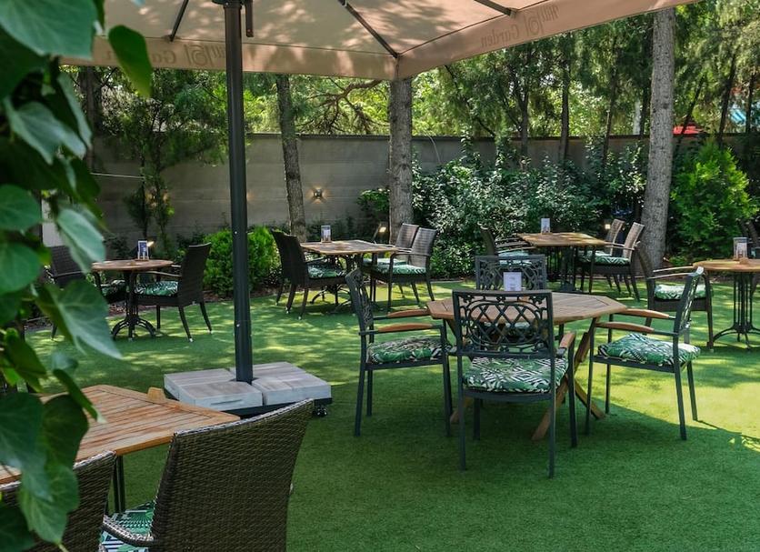 Patio Zdjęcie