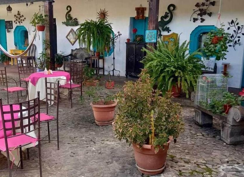 Patio Zdjęcie