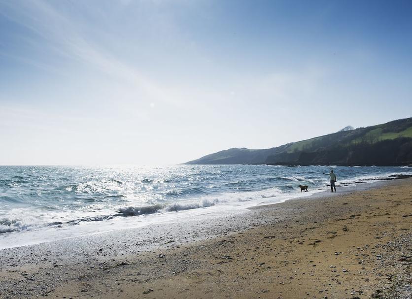 Plaża Zdjęcie