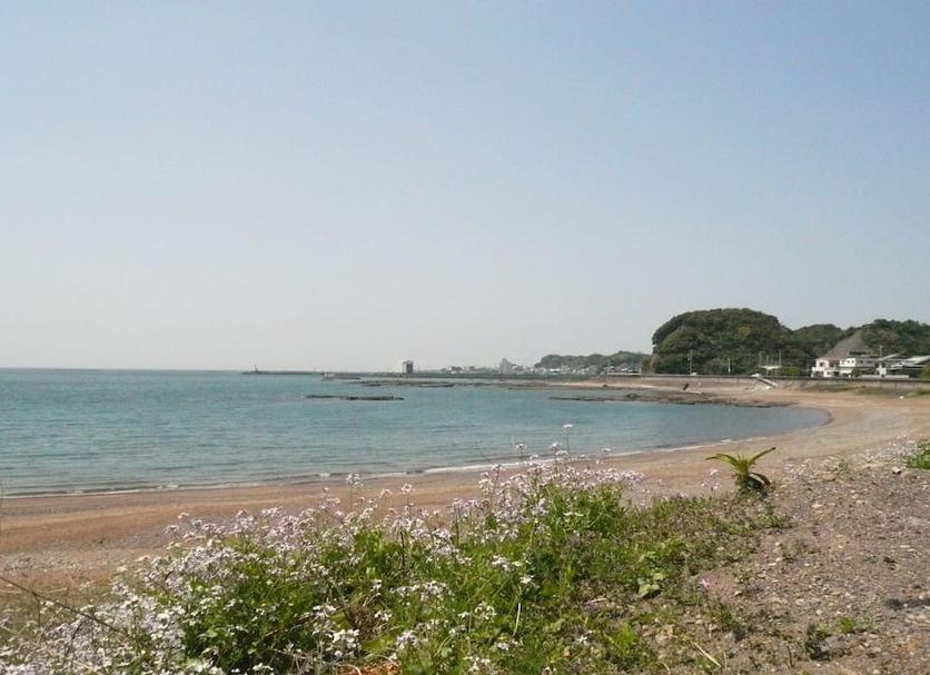 Plaża Zdjęcie