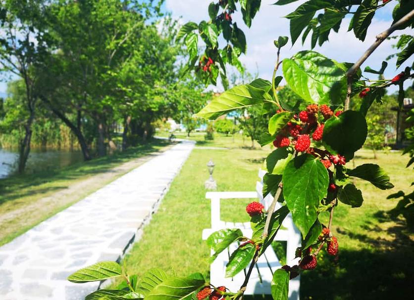 Widok na zewnątrz Zdjęcie