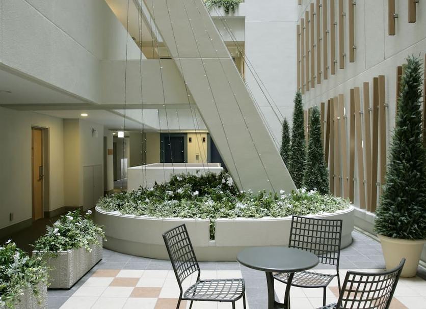 Patio Zdjęcie