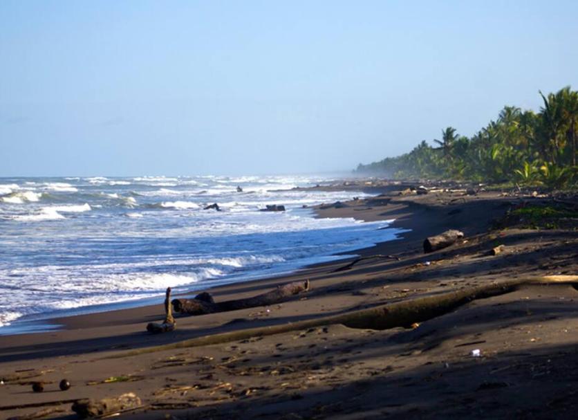 Plaża Zdjęcie