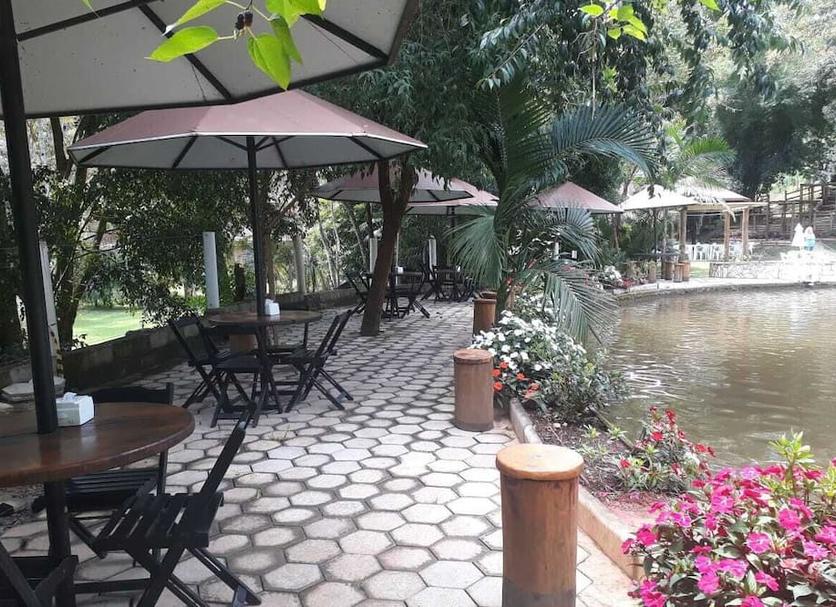 Patio Zdjęcie