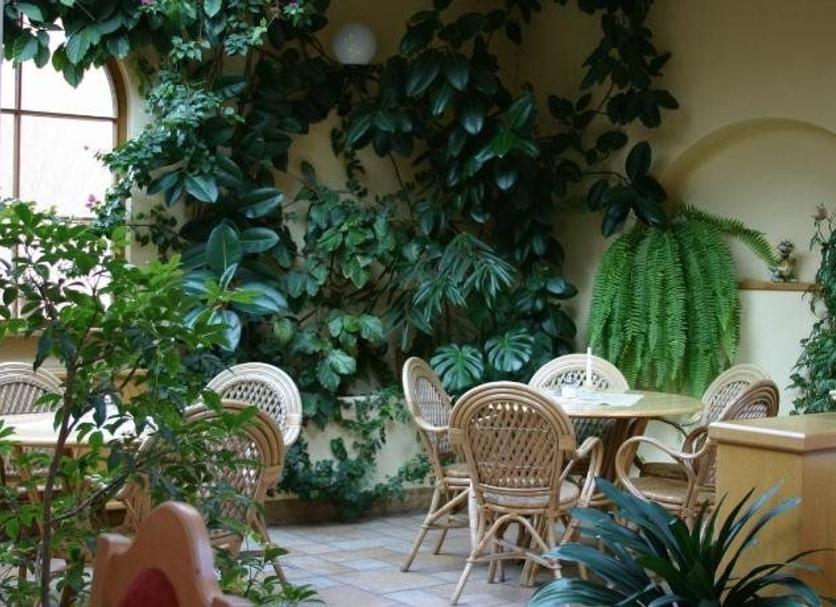 Patio Zdjęcie