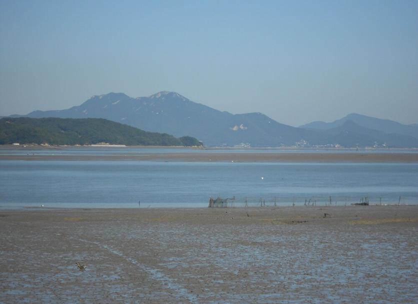 Plaża Zdjęcie
