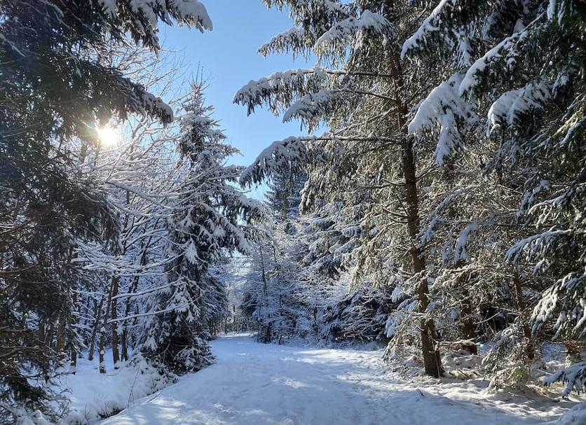 Widok na zewnątrz Zdjęcie