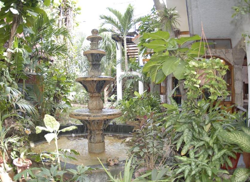 Patio Zdjęcie