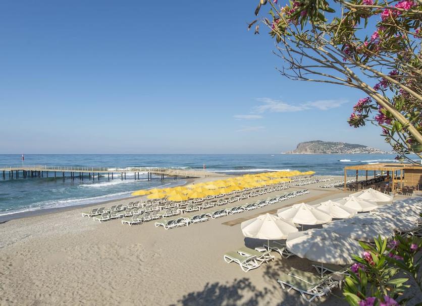 Plaża Zdjęcie