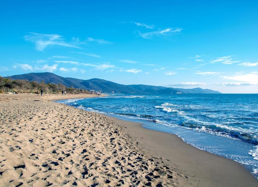 Plaża Zdjęcie
