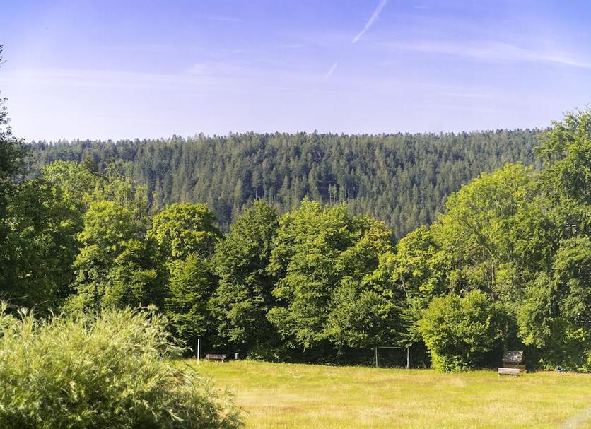 Widok na zewnątrz Zdjęcie