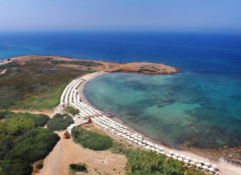 Plaża Zdjęcie