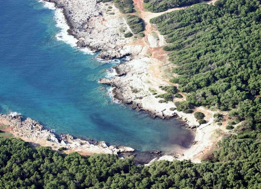 Plaża Zdjęcie